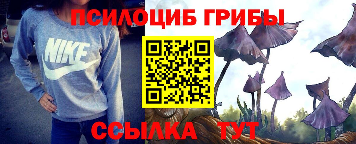 Псилоцибиновые грибы Psilocybe Ростов-на-Дону